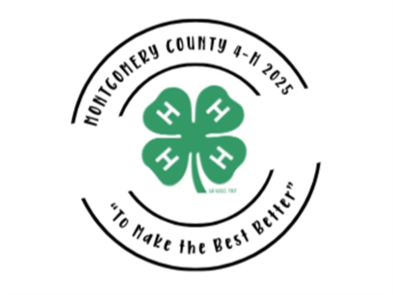 Fair Logo
